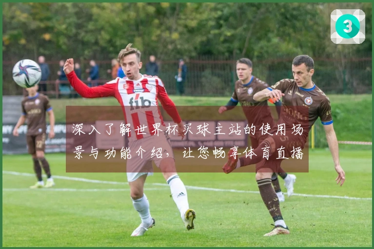 深入了解世界杯买球主站的使用场景与功能介绍，让您畅享体育直播体验