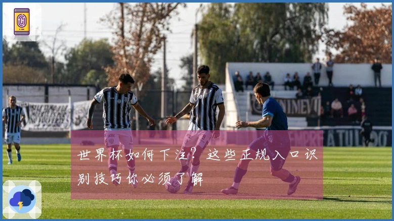 世界杯如何下注？这些正规入口识别技巧你必须了解