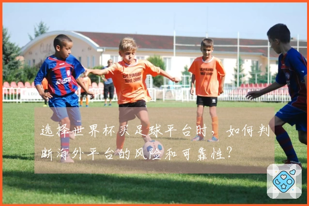 选择世界杯买足球平台时，如何判断海外平台的风险和可靠性？