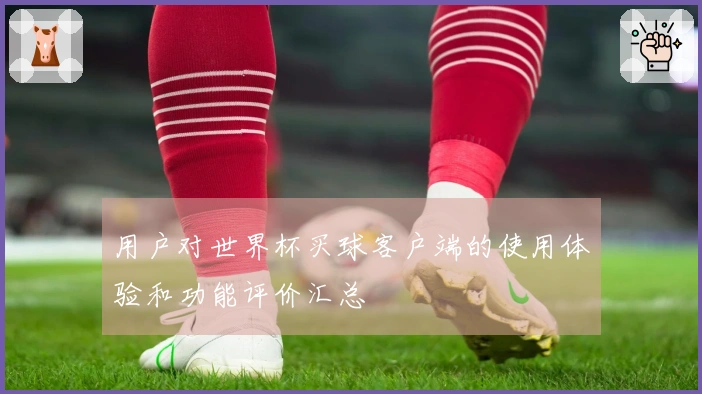 用户对世界杯买球客户端的使用体验和功能评价汇总