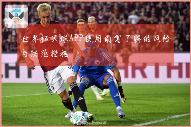 世界杯买球APP使用前需了解的风险与防范措施