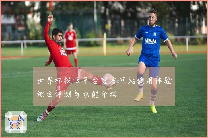 世界杯投注平台官方网站使用体验综合评测与功能介绍