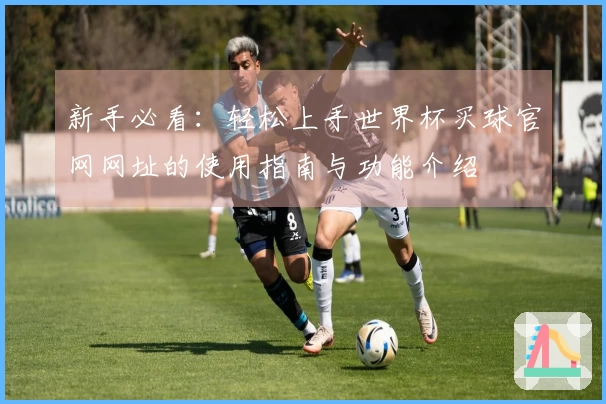 新手必看：轻松上手世界杯买球官网网址的使用指南与功能介绍