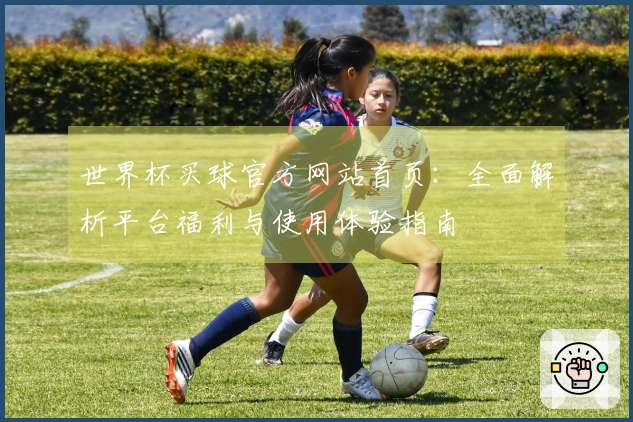 世界杯买球官方网站首页：全面解析平台福利与使用体验指南