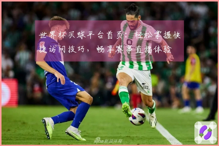 世界杯买球平台首页：轻松掌握快捷访问技巧，畅享赛事直播体验