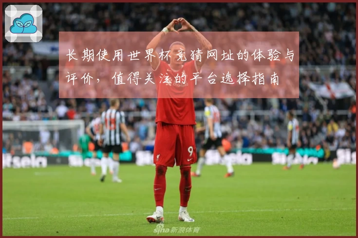 长期使用世界杯竞猜网址的体验与评价，值得关注的平台选择指南