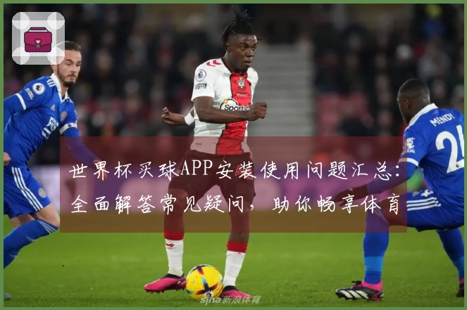 世界杯买球APP安装使用问题汇总：全面解答常见疑问，助你畅享体育精彩。