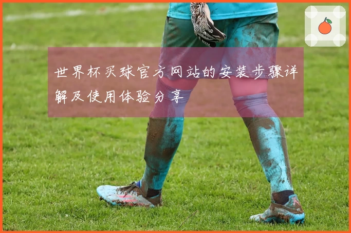 世界杯买球官方网站的安装步骤详解及使用体验分享