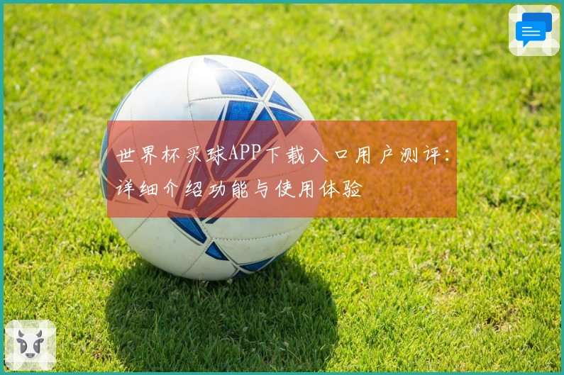 世界杯买球APP下载入口用户测评：详细介绍功能与使用体验
