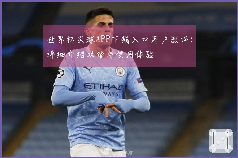 世界杯买球APP下载入口用户测评：详细介绍功能与使用体验