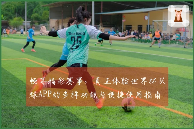 畅享精彩赛事，真正体验世界杯买球APP的多样功能与便捷使用指南