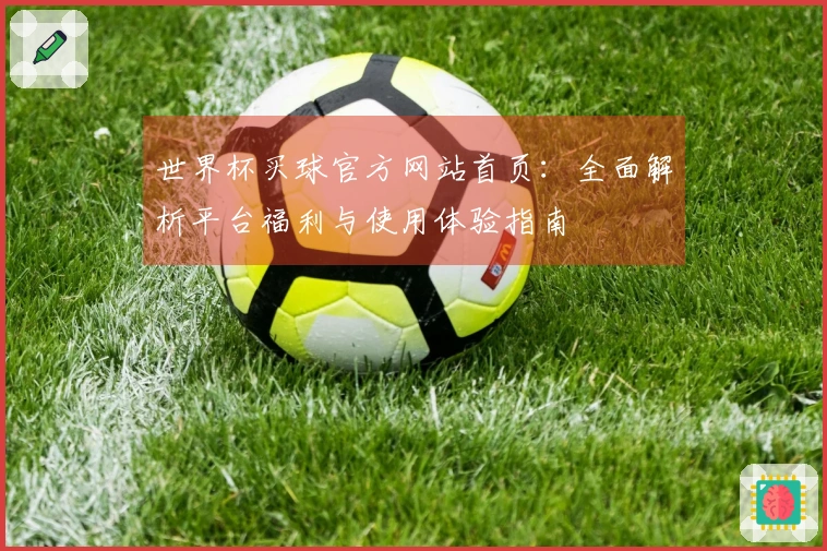 世界杯买球官方网站首页：全面解析平台福利与使用体验指南